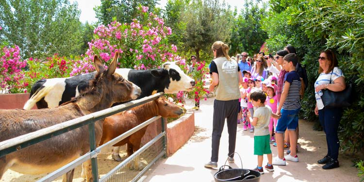 2016.05.29 - Αττικό Ζωολογικό Πάρκο  Παιδικό Μουσείο - Αθήνα-2